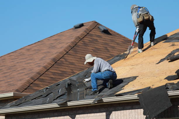 Best Asphalt Shingle Roofing  in Antwerp, OH